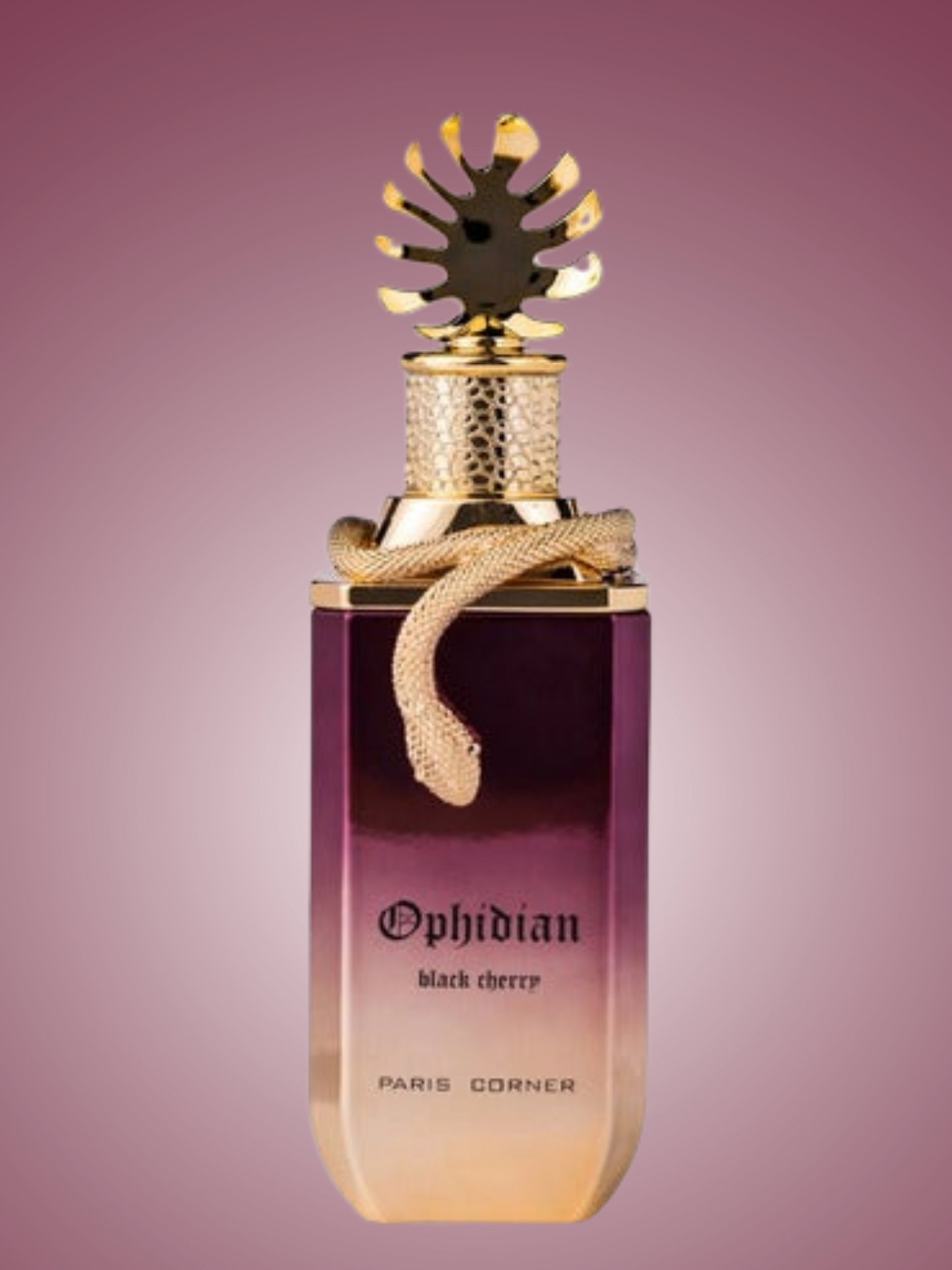 Paris Corner Ophidian Black Cherry